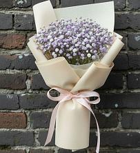 Букет цветов из:  Гипсофила в Самотовино