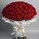 Букет 101 Красная роза Блэк Мэджик в Самотовино