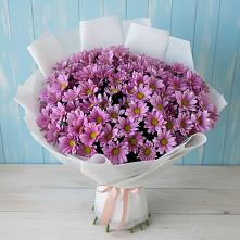 Букет цветов из:  Хризантемы в Самотовино