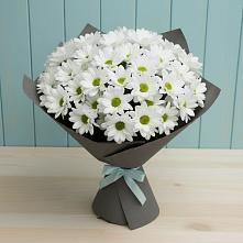 Букет цветов из:  Хризантемы в Самотовино