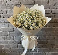 Букет цветов из:  Ромашки в Самотовино
