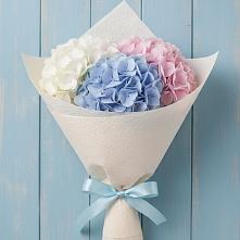 Букет цветов из:  Гортензия в Самотовино