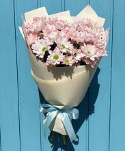 Букет цветов из:  Хризантемы #REPLACE_PRED# Самотовино