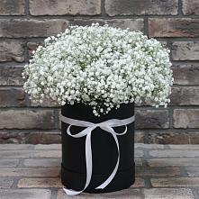 Цветочная композиция из Гипсофила в шляпной коробке #REPLACE_PRED# Самотовино