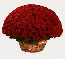 Премиум букет из: Розы в Самотовино