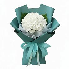 Букет цветов из:  Гортензия в Самотовино
